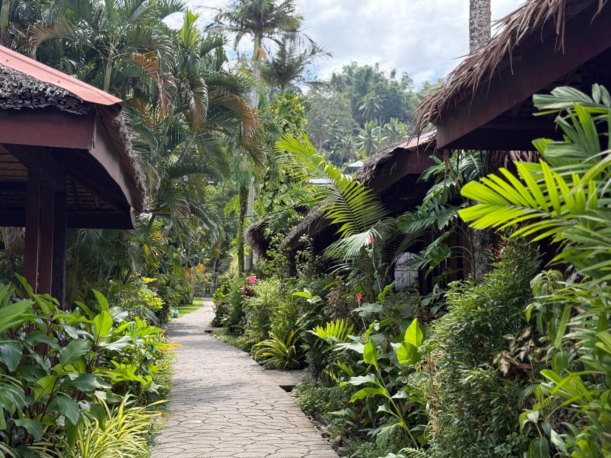 Garden Of Eden Dive Resort بويرتو غاليرا المظهر الخارجي الصورة